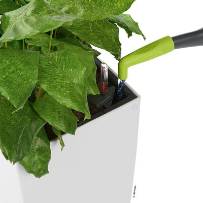 Lechuza Gießhilfe 'Pico', grün Lechuza Gießhilfe 'Pico', grün