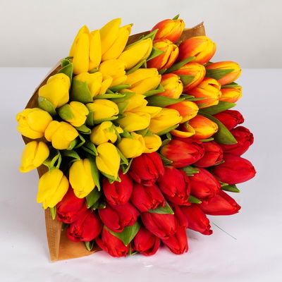 50 Tulpen, rot, gelb & orange/gelb