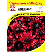 Thompson & Morgan Blumensamen Sonnenhut 'Cherry Brandy'