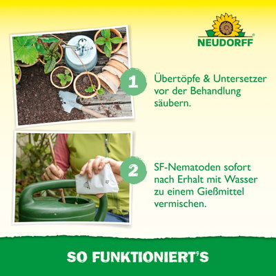 Neudorff Bestell-Set Nützlinge gegen Trauermücken, 5 Mio Stück Neudorff Bestell-Set Nützlinge gegen Trauermücken, 5 Mio Stück