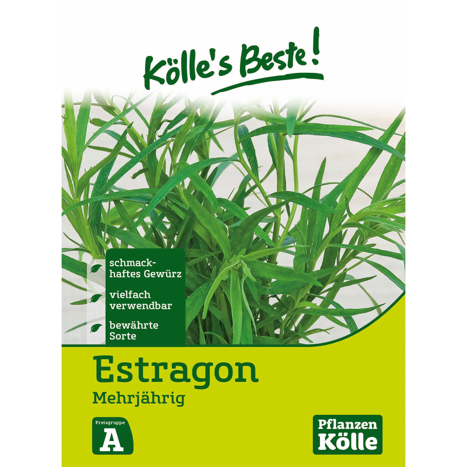 Kölle's Beste Estragon mehrjährig, 6,25 g