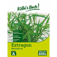 Kölle's Beste Estragon mehrjährig, 6,25 g