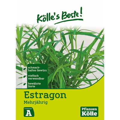 Kölles Beste Estragon mehrjährig, 6,25 g