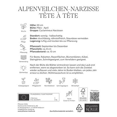 Alpenveilchen-Narzissen Tête à Tête gelb, 20 Blumenzwiebeln Alpenveilchen-Narzissen Tête à Tête gelb, 20 Blumenzwiebeln
