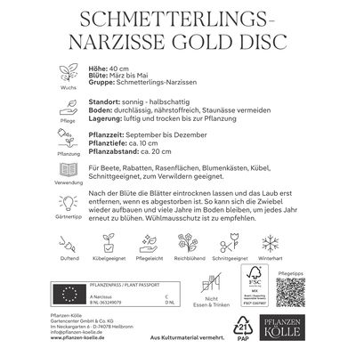 Schmetterling Narzissen Gold Disc, 5 Blumenzwiebeln Schmetterling Narzissen Gold Disc, 5 Blumenzwiebeln