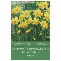 Alpenveilchen-Narzisse 'Tête à Tête', gelb, Größe 10/11, 10 Blumenzwiebeln