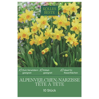 Alpenveilchen-Narzisse 'Tête à Tête', gelb, Größe 10/11, 10 Blumenzwiebeln Alpenveilchen-Narzisse 'Tête à Tête', gelb, Größe 10/11, 10 Blumenzwiebeln