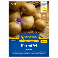 Kiepenkerl Saatgut Kartoffel 'Jubila', gelb Kiepenkerl Saatgut Kartoffel 'Jubila', gelb