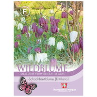 Thompson & Morgan Wildblume Schachbrettblume (Fritillaria), rosa, lila, creme