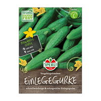 Einlegurke 'Vorgebirgstraube'