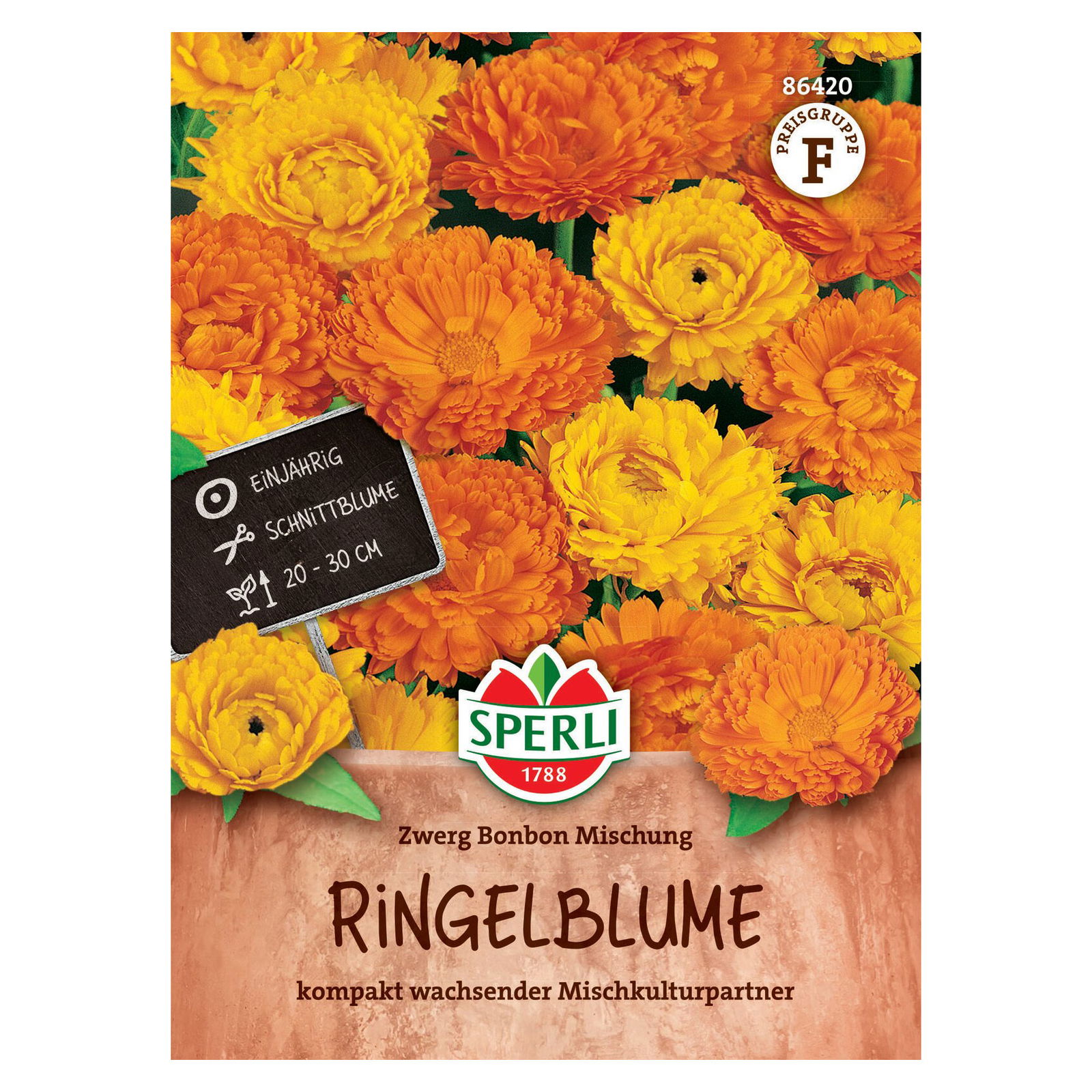 Saatgut Ringelblume 'Zwerg Bonbon'