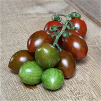 Blu Bio Cocktail-Tomatenpflanze 'Balkonia F1', Topf-Ø 12 cm, 6er-Set