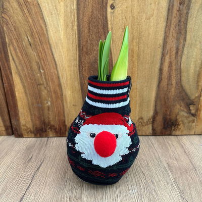 Amaryllis in Wachs, Dekor 'Xmas Classic', Farbe zufällig, Blüte weiß