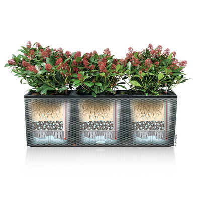 Lechuza 'Trio Cottage 40', sandbraun, ca. 129,5 x 42 x H 44 cm