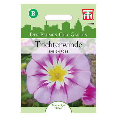 Thompson & Morgan Saatgut, Trichterwinde 'Ensign Rose'