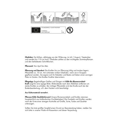 Gladiole 'Smokey', lila, 10 Blumenknollen Gladiole 'Smokey', lila, 10 Blumenknollen