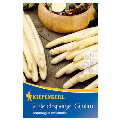 Kiepenkerl Bleichspargel 'Gijnlim®' Kiepenkerl Bleichspargel 'Gijnlim®'