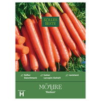 Kölles Beste Saatgut Möhre 'Red Sun', orange