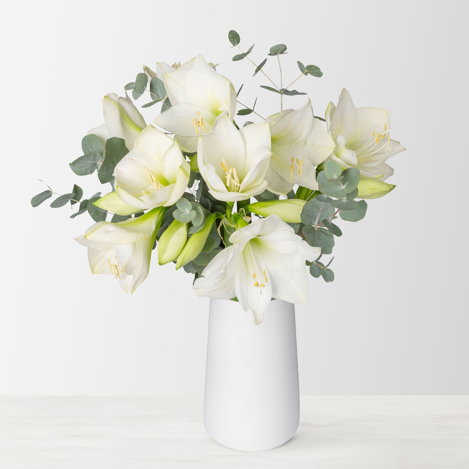 weisse Aamrylis Schnittblumen