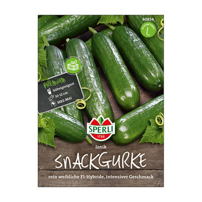 Salatgurke 'Isnik' Salatgurke 'Isnik'