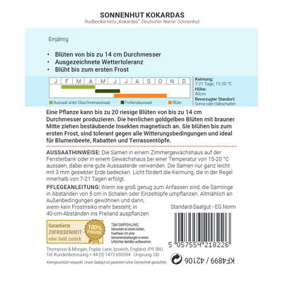 Thompson & Morgan Sonnenhut 'Kokardas®', gelb/rot Thompson & Morgan Sonnenhut 'Kokardas®', gelb/rot