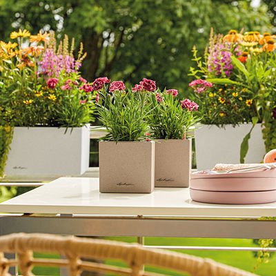 Lechuza 'Canto Stone 14', sandbeige, ca. 14 x 14 x H 13,5 cm