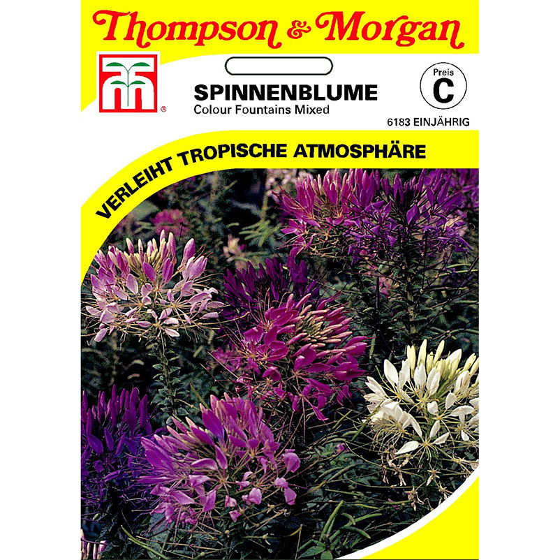 Thompson & Morgan Blumensamen Spinnenblume Colour Fountain Mischung