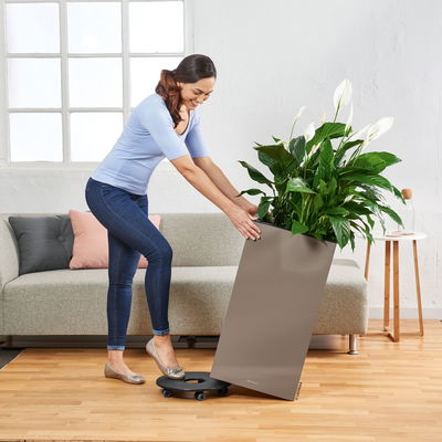 Lechuza 'Canto Premium 40 high', anthrazit, ca. 40 x 40 x H 76 cm Lechuza 'Canto Premium 40 high', anthrazit, ca. 40 x 40 x H 76 cm