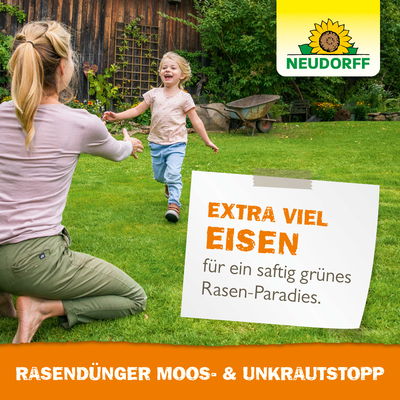 Neudorff Rasendünger Moos- & Unkrautstopp, 10 kg