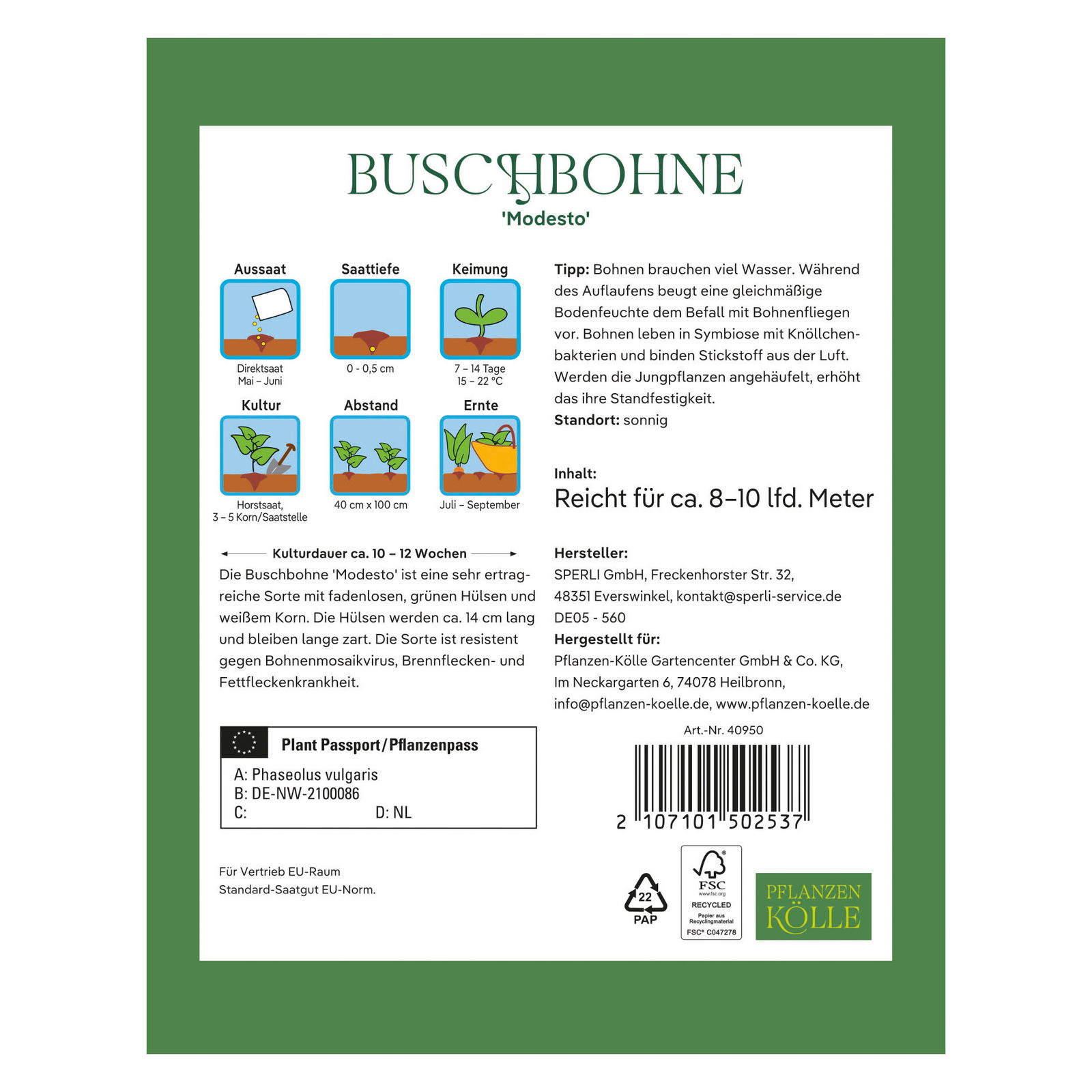 Kölles Beste Saatgut Buschbohne 'Modesto', grün