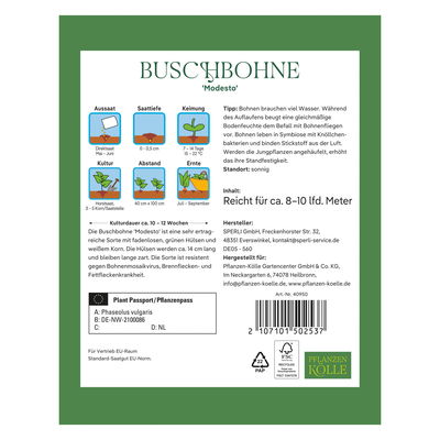 Kölles Beste Saatgut Buschbohne 'Modesto', grün