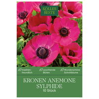 Kronen-Anemonen 'Sylphide', pink, Größe 7/8, 10 Blumenzwiebeln