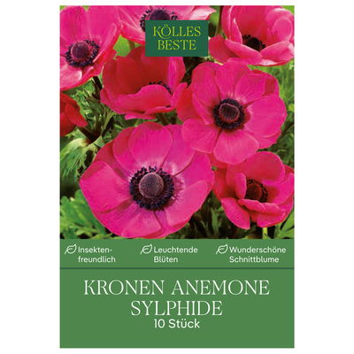 Kronen-Anemonen 'Sylphide', pink, Größe 7/8, 10 Blumenzwiebeln Kronen-Anemonen 'Sylphide', pink, Größe 7/8, 10 Blumenzwiebeln