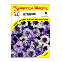 Kornblume (Centaurea cyanus) Classic Fantastic, ideal für Rabatte oder in Landhausgärten