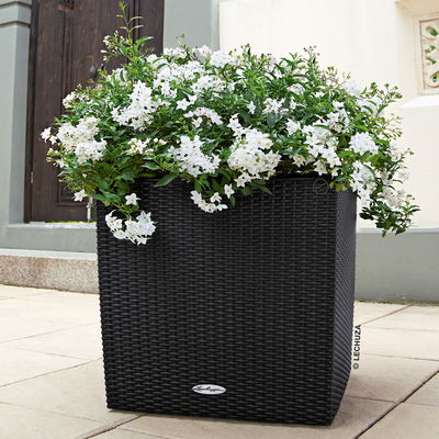 Lechuza 'Cube Cottage 40', graphitschwarz, ca. 39 x 39 x H 40 cm Lechuza 'Cube Cottage 40', graphitschwarz, ca. 39 x 39 x H 40 cm