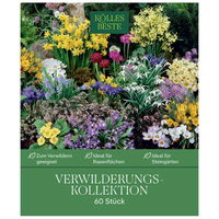 Verwilderungs-Kollektion 60 Blumenzwiebeln