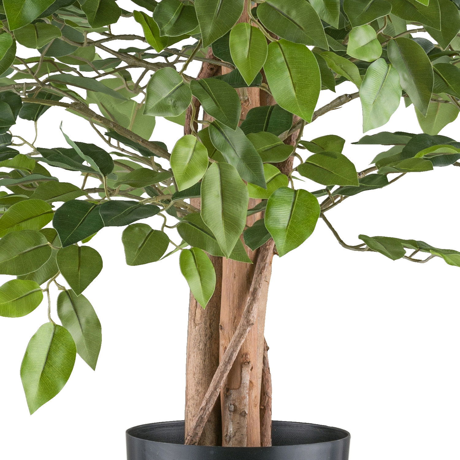 Künstlicher Ficus benjamina, Höhe ca. 85 cm