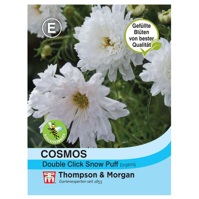 Thompson & Morgan Schmuckkörbchen 'Double Click Snow Puff'