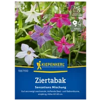 Kiepenkerl Saatgutmischung Ziertabak 'Sensations'