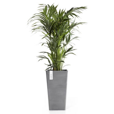 Ecopots Pflanzgefäß 'Rotterdam MidHigh', grau, ca. Ø 31 x H 56 cm Ecopots Pflanzgefäß 'Rotterdam MidHigh', grau, ca. Ø 31 x H 56 cm