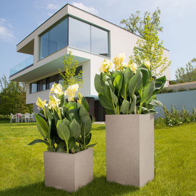 Lechuza 'Canto Stone 40 low', sandbeige, ca. 40 x 40 x H 40 cm