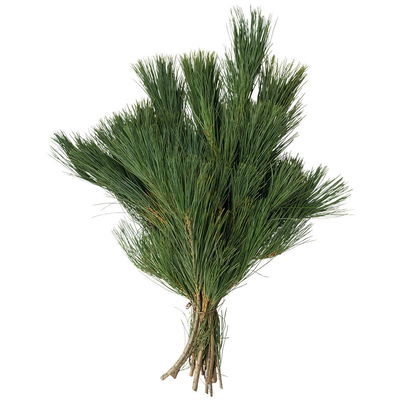 Seidenkiefer im Handbund, ca. 30-40cm lang, 5 Bund