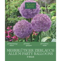 Kölles Beste Zierlauch Allium 'Party Balloons', lila, 3 Blumenzwiebeln Kölles Beste Zierlauch Allium 'Party Balloons', lila, 3 Blumenzwiebeln