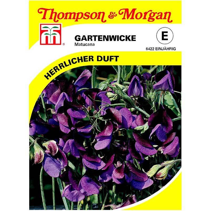 Thompson & Morgan Blumensamen Gartenwicke 