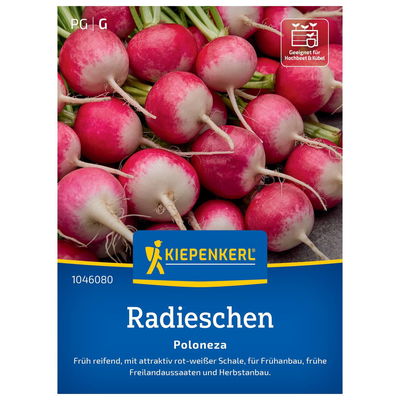 Gemüsesamen, Radieschen 'Poloneza' Gemüsesamen, Radieschen 'Poloneza'