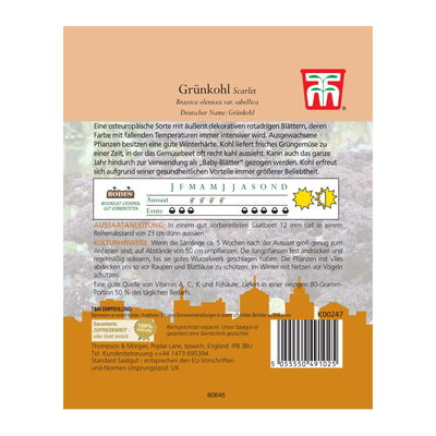 Grünkohl Scarlet / „C“- Samen Grünkohl Scarlet / „C“- Samen