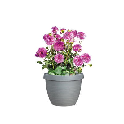 Scheurich Pflanzgefäß 'Country Star', Granite Grey, ca. Ø 29 x H 22,5 cm