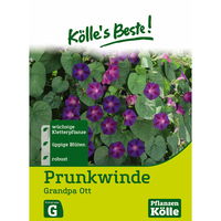Kölle's Beste Blumensamen Prunkwinde 