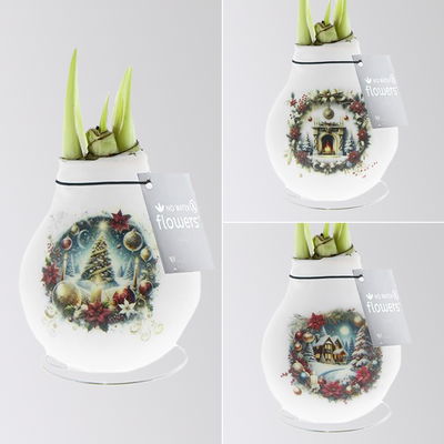 Amaryllis in Wachs, Dekor 'Christmas Eve', Muster zufällig, Blüte rot