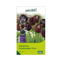 Tulpen Kollektion 'Schokoladen-Trio', Dunkelrot bis Schwarz, 15 Blumenzwiebeln